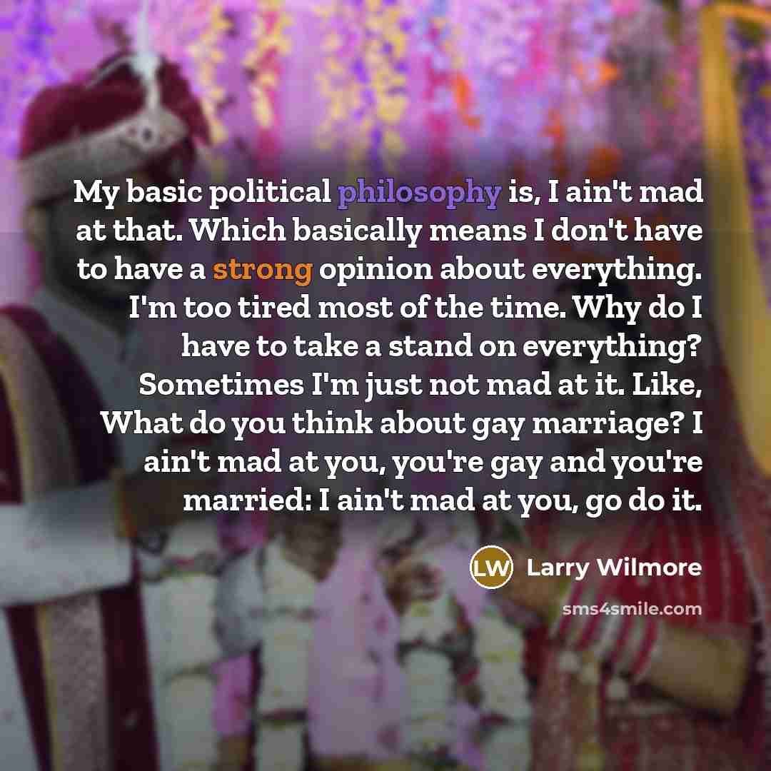 “My basic political philosophy is, I ain't mad at that.…” quote by Larry Wilmore