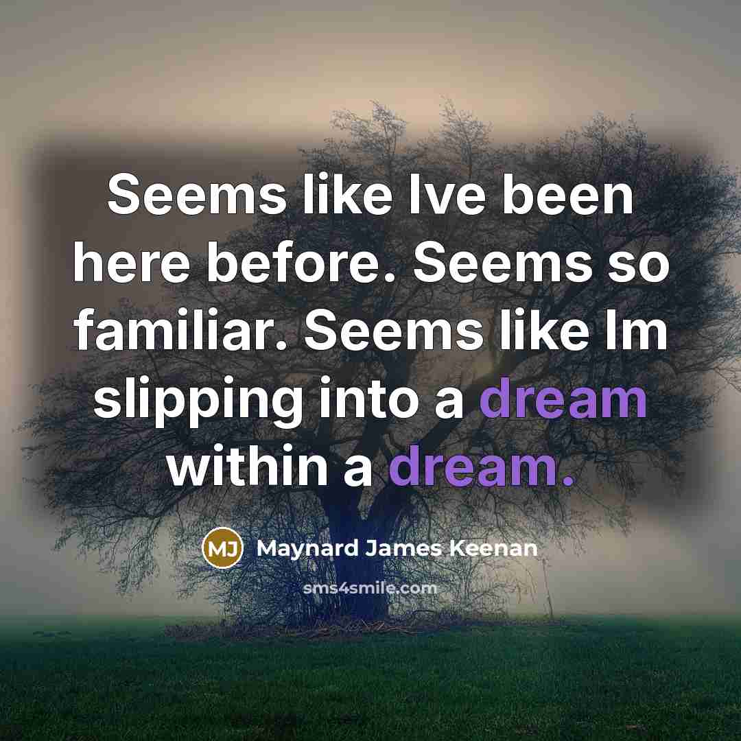 “Seems like Ive been here before. Seems so familiar. Seems…” quote by Maynard James Keenan