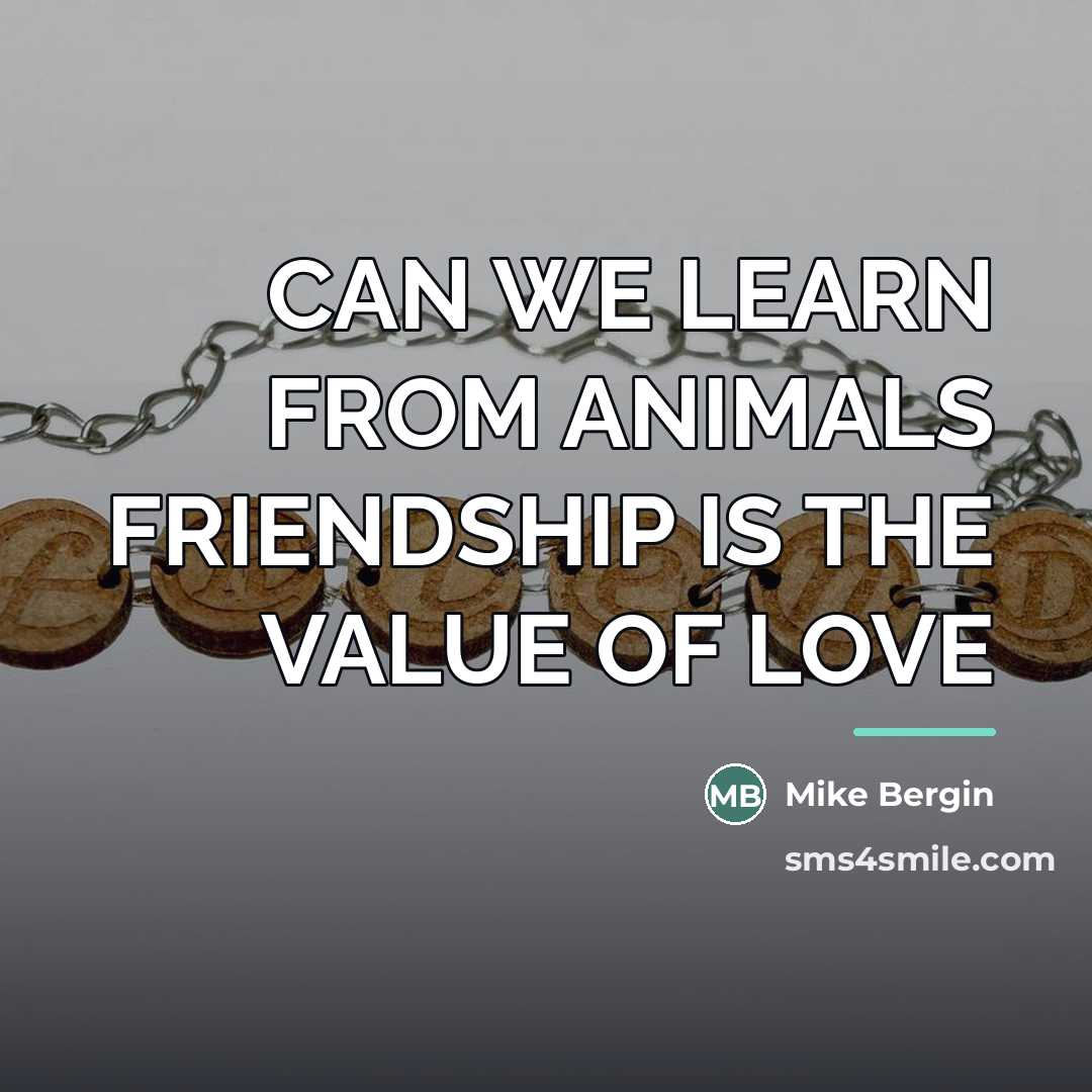 “CAN WE LEARN FROM ANIMALS FRIENDSHIP IS THE VALUE OF…” quote by Mike Bergin