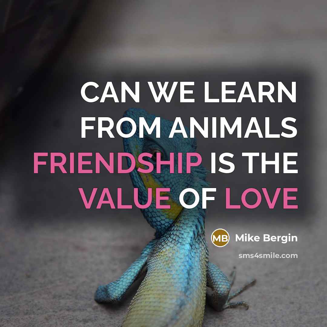 “CAN WE LEARN FROM ANIMALS FRIENDSHIP IS THE VALUE OF LOVE” quote by Mike Bergin
