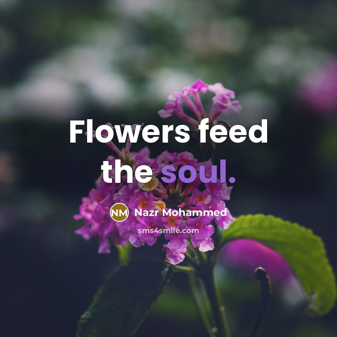 “Flowers feed the soul.” quote by Nazr Mohammed