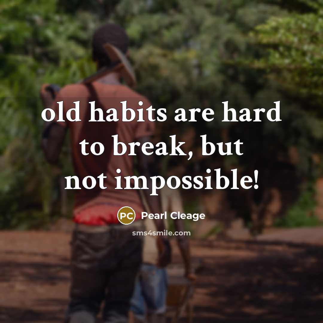 “old habits are hard to break, but not impossible!…” quote by Pearl Cleage