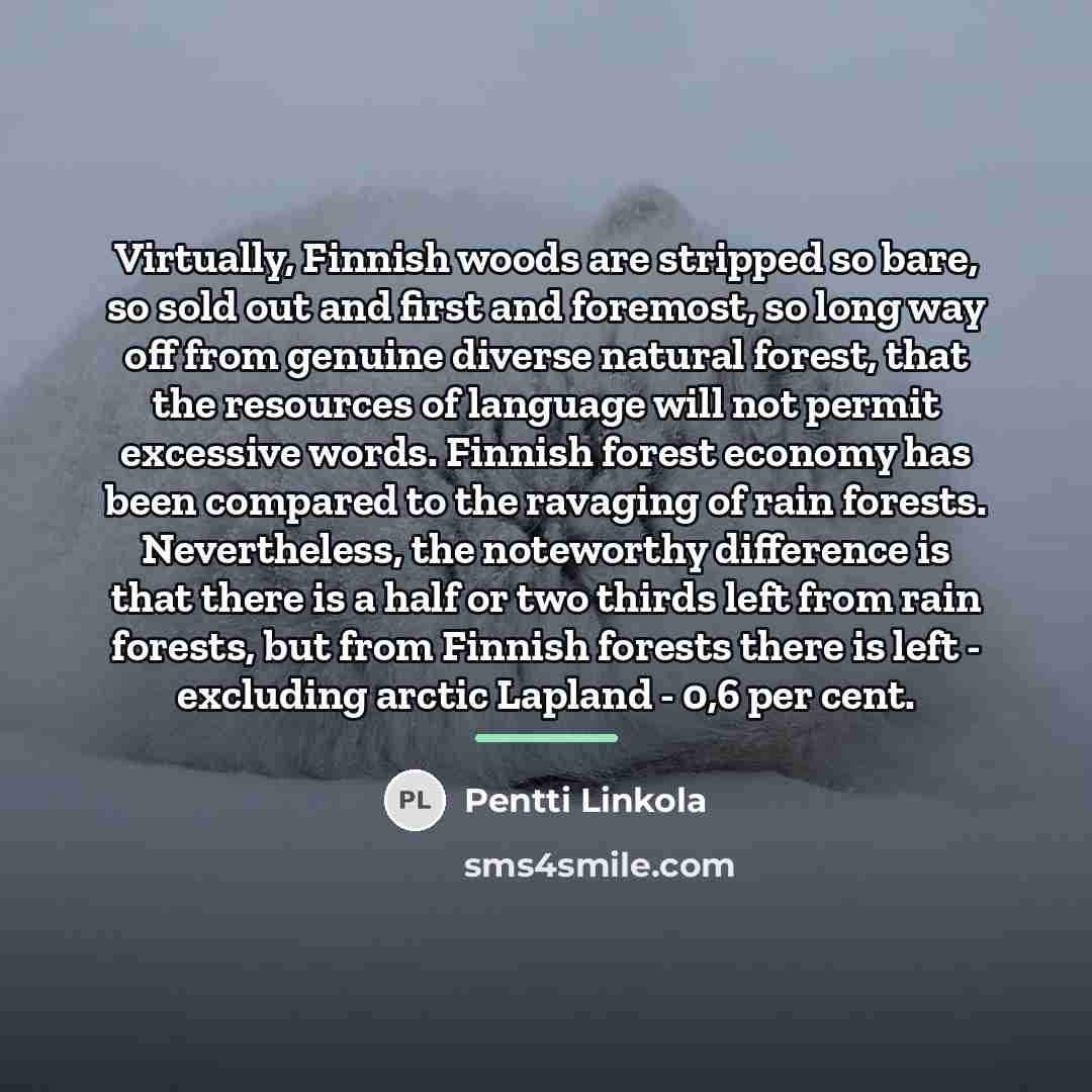 “Virtually, Finnish woods are stripped so bare, so sold out…” quote by Pentti Linkola