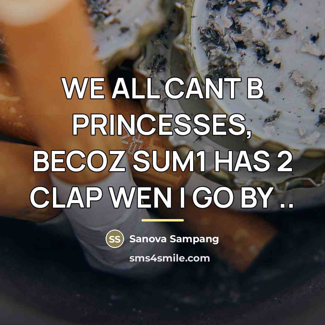 “WE ALL CANT B PRINCESSES, BECOZ SUM1 HAS 2 CLAP…” quote by Sanova Sampang