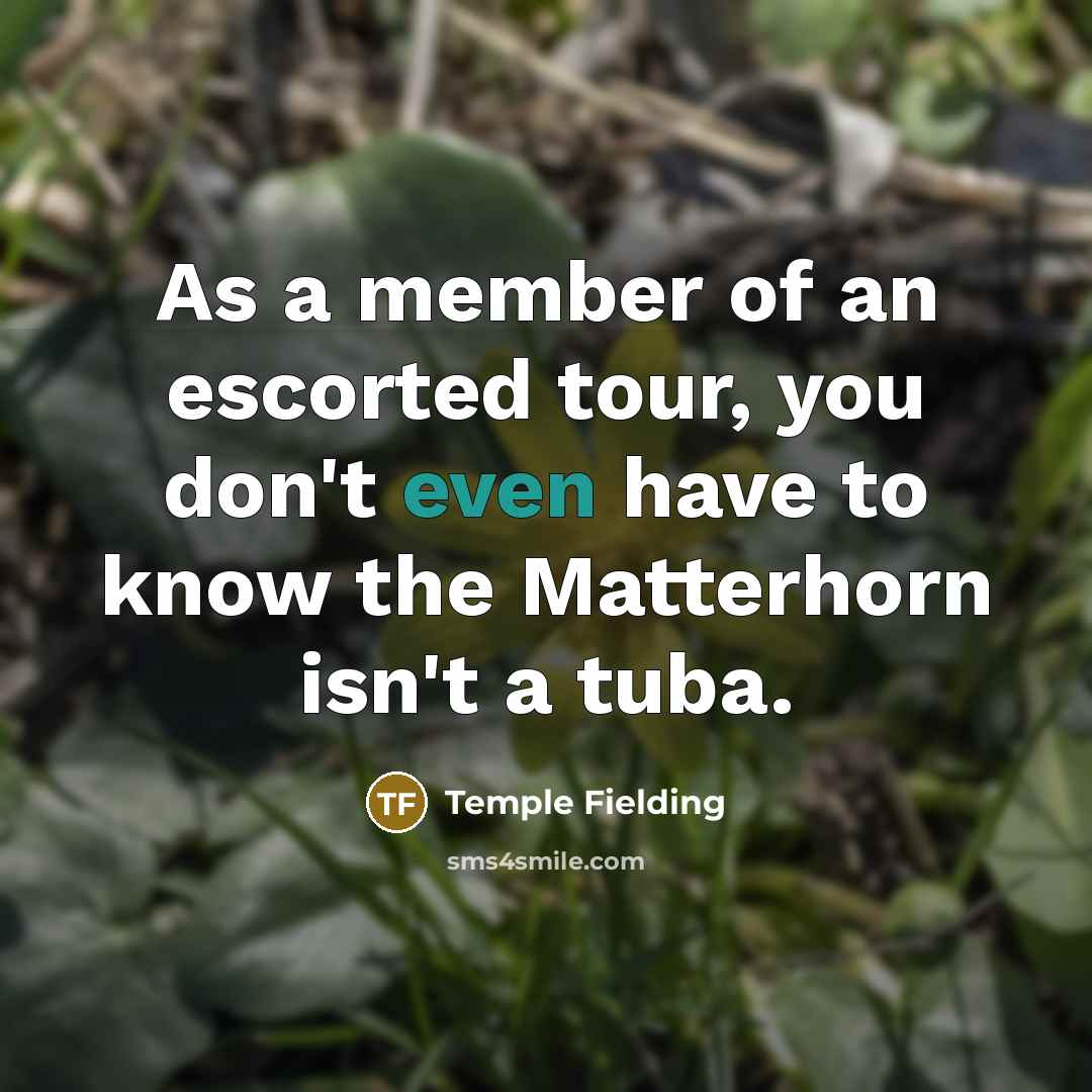 “As a member of an escorted tour, you don't even have to know the Matterhorn isn't a tuba.” quote by Temple Fielding