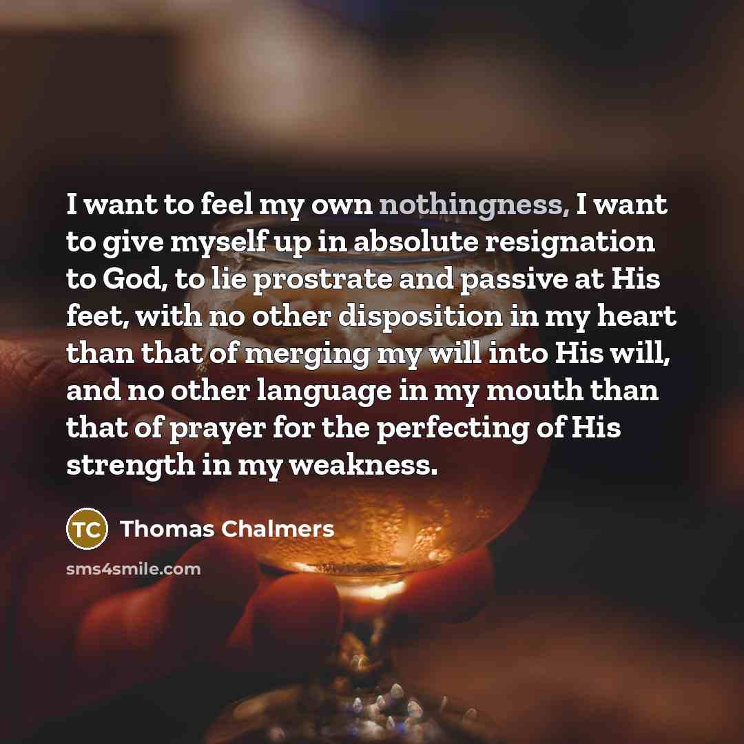 “I want to feel my own nothingness, I want to…” quote by Thomas Chalmers