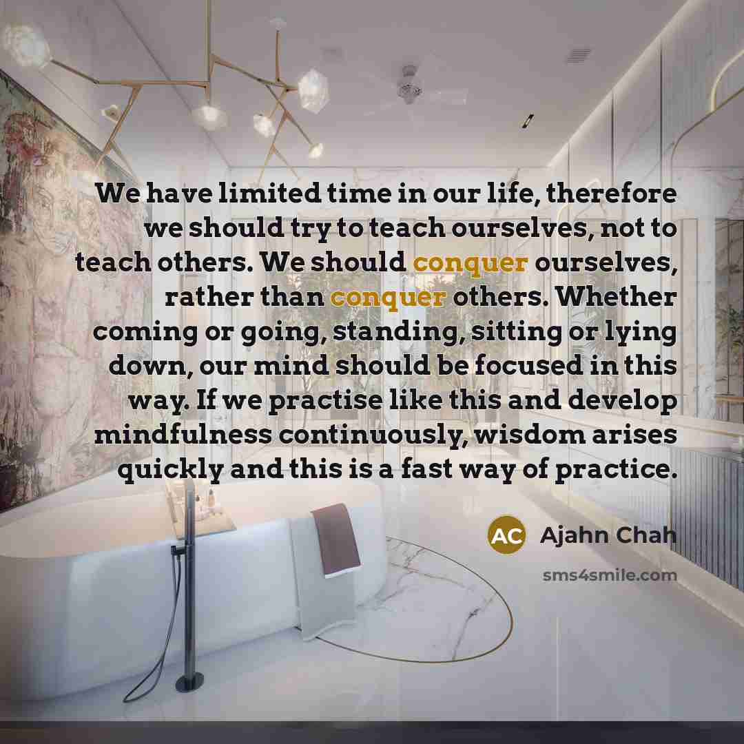“We have limited time in our life, therefore we should…” quote by Ajahn Chah