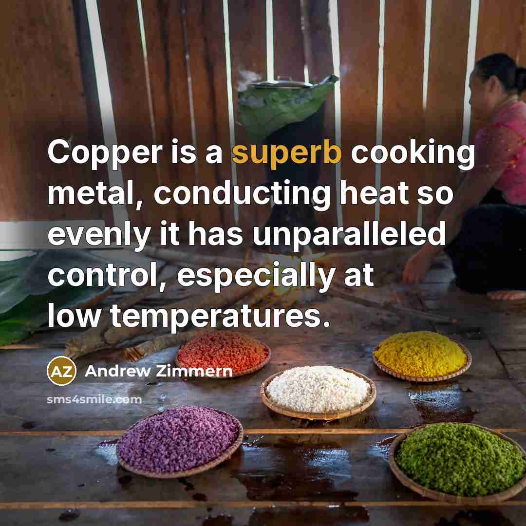 “Copper is a superb cooking metal, conducting heat so evenly…” quote by Andrew Zimmern