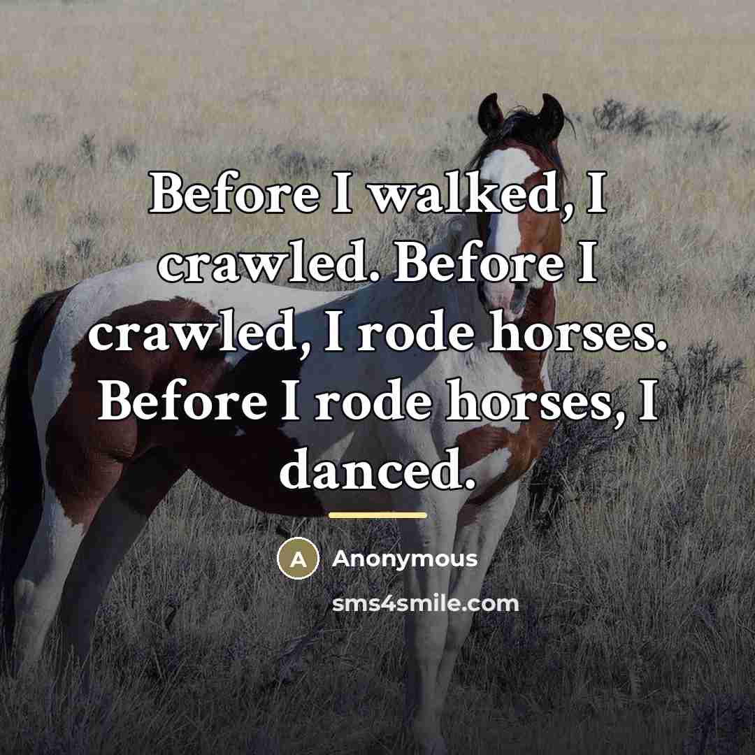 “Before I walked, I crawled. Before I crawled, I rode…” quote by Anonymous