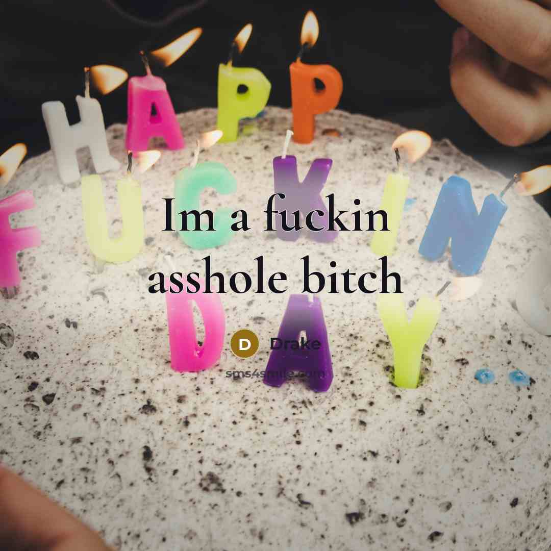 “Im a fuckin asshole bitch” quote by Drake