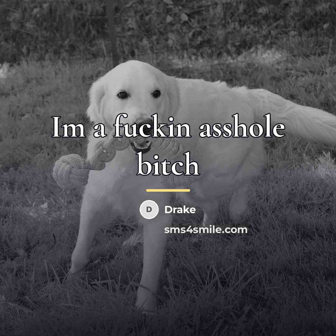 “Im a fuckin asshole bitch…” quote by Drake