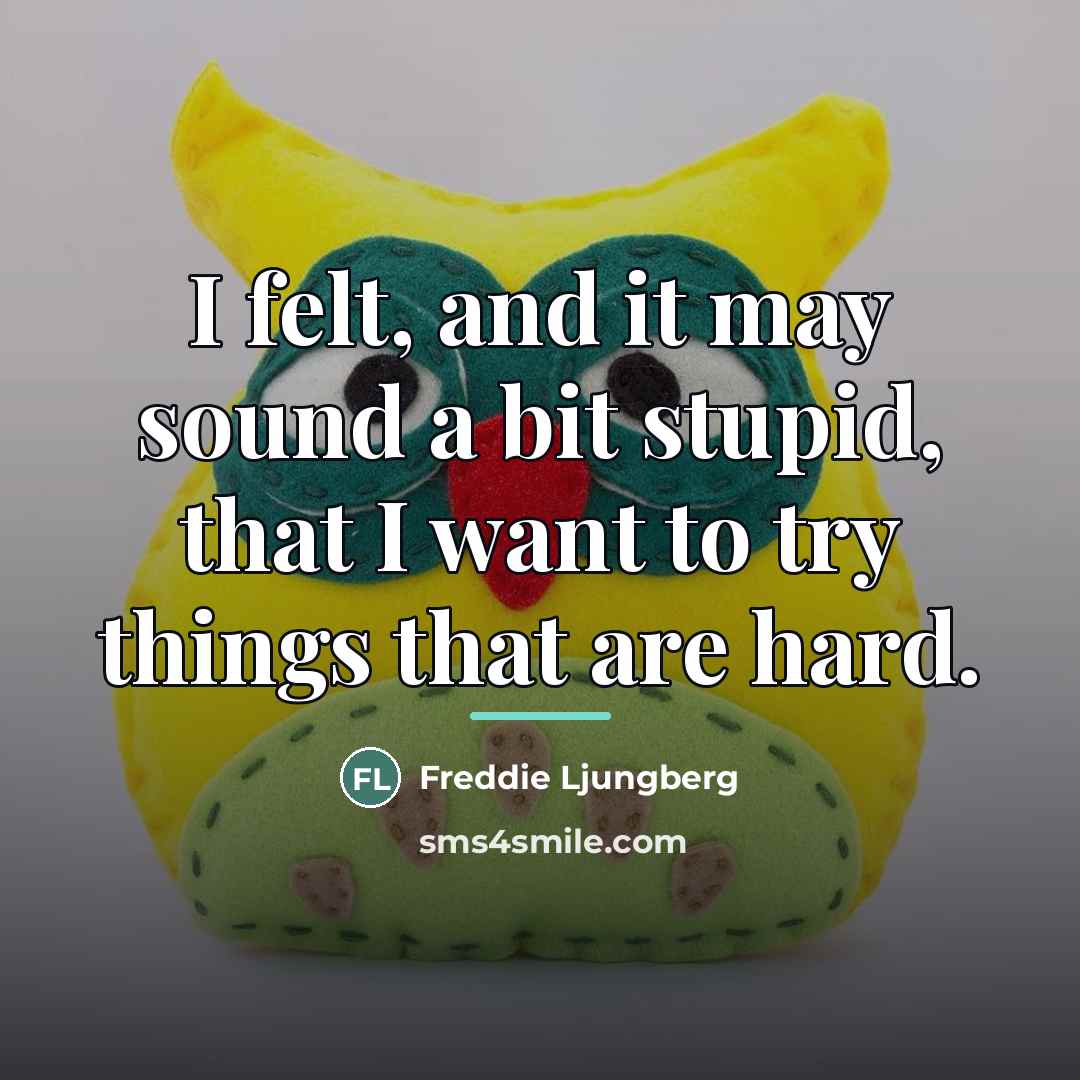“I felt, and it may sound a bit stupid, that…” quote by Freddie Ljungberg