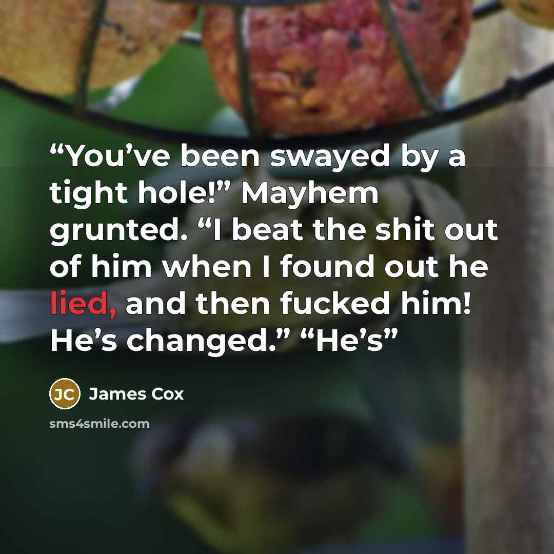 “You’ve been swayed by a tight hole!” Mayhem grunted. “I beat the shit out of him when I found out he lied, and then fucked him! He’s changed.” “He’s” quote by James Cox