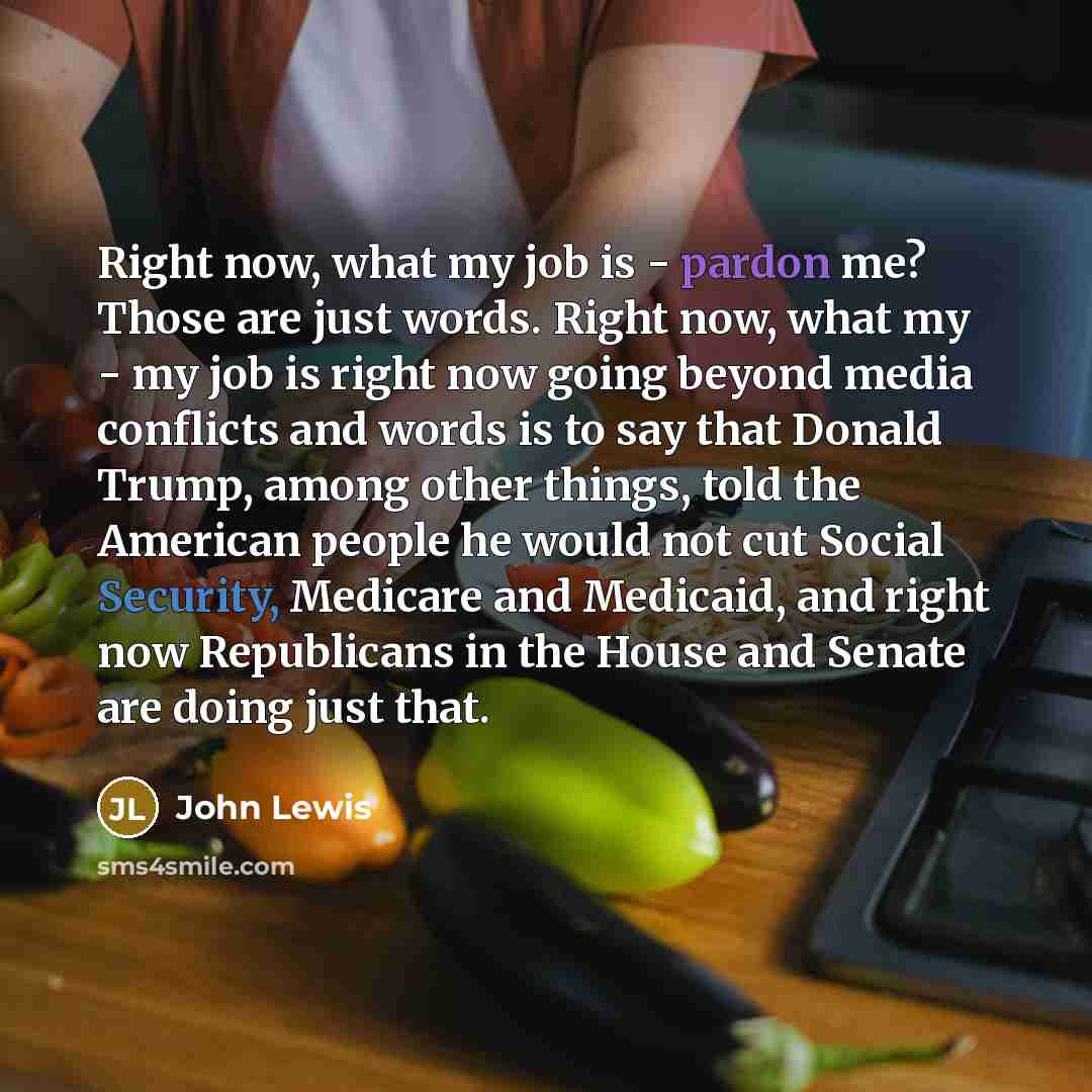 “Right now, what my job is - pardon me? Those…” quote by John Lewis