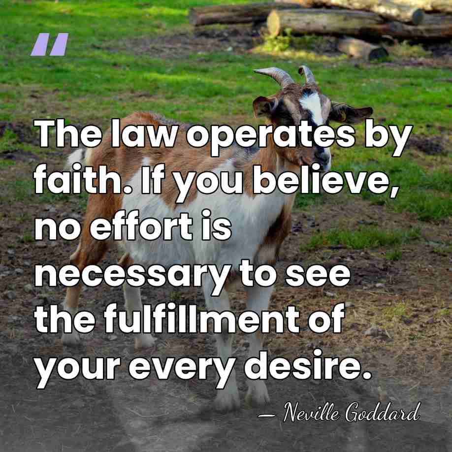 The law operates by faith. If you believe, no effort is necessary&hellip; - Neville Goddard