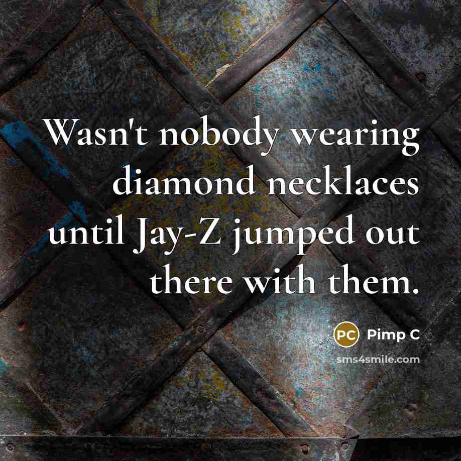 “Wasn't nobody wearing diamond necklaces until Jay-Z jumped out there…” quote by Pimp C