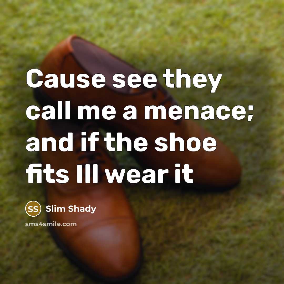 “Cause see they call me a menace; and if the shoe fits Ill wear it” quote by Slim Shady