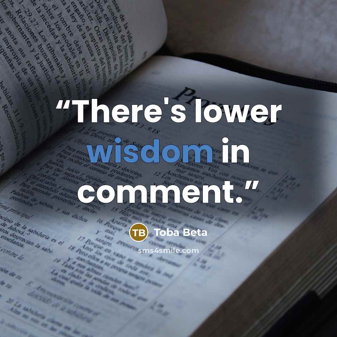 “There's lower wisdom in comment.” quote by Toba Beta