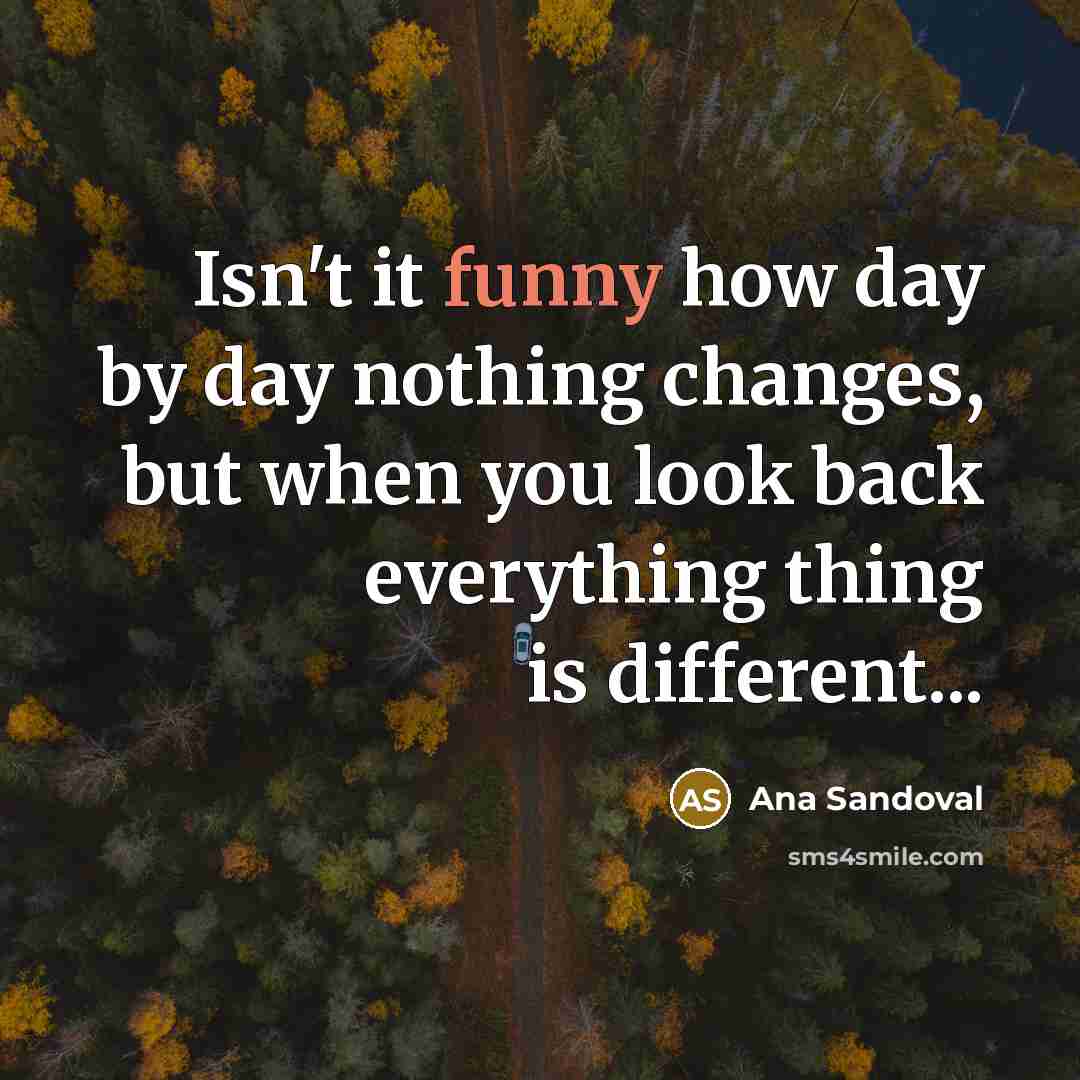 “Isn't it funny how day by day nothing changes, but…” quote by Ana Sandoval