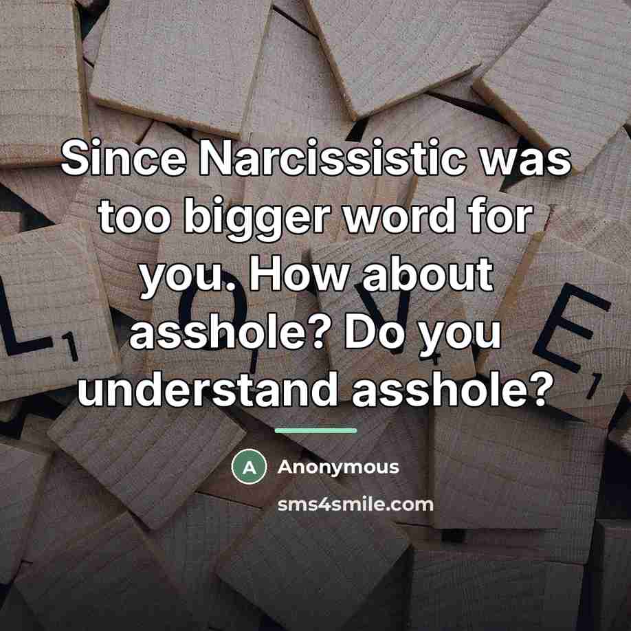 “Since Narcissistic was too bigger word for you. How about…” quote by Anonymous