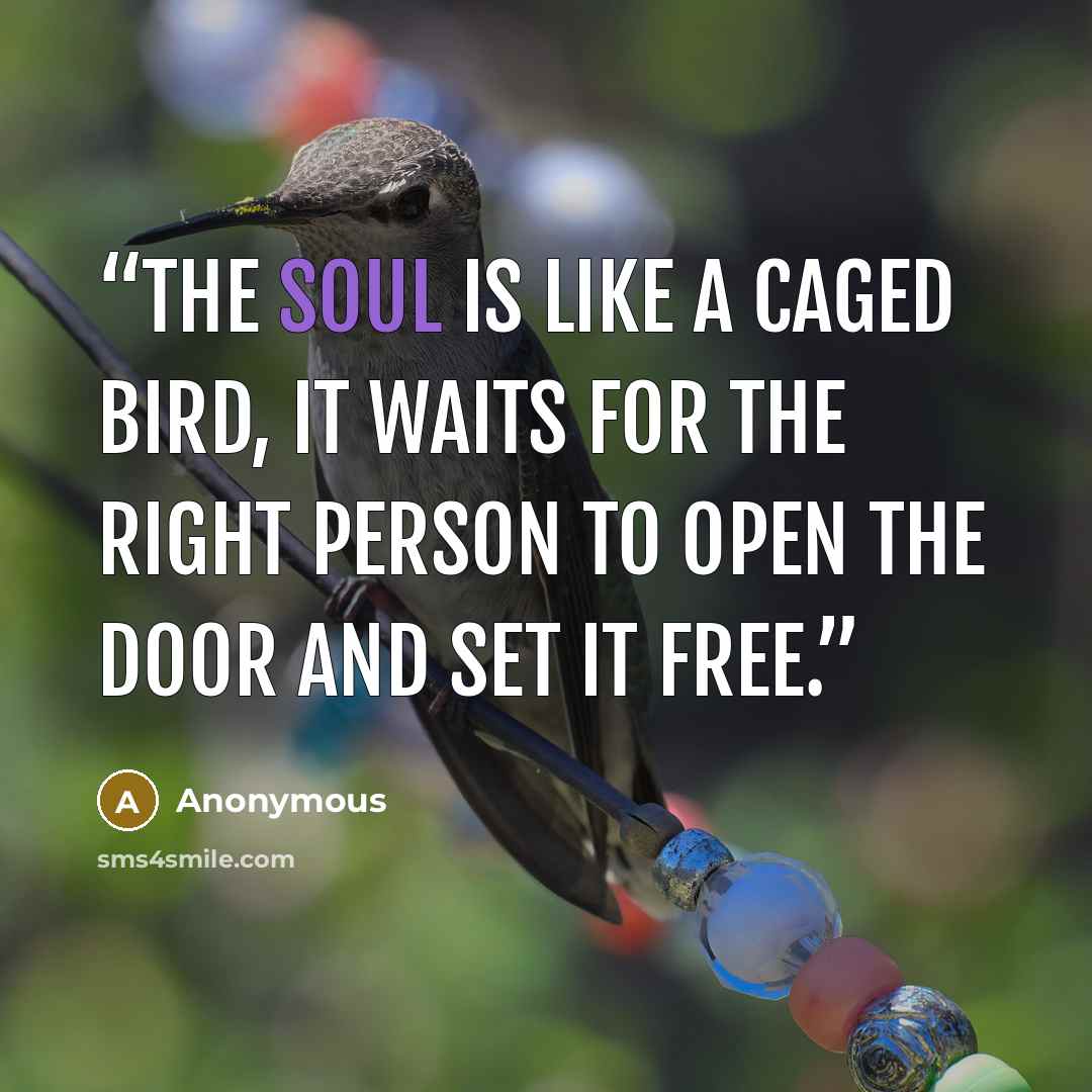 “The soul is like a caged bird, it waits for the right person to open the door and set it free.” quote by Anonymous