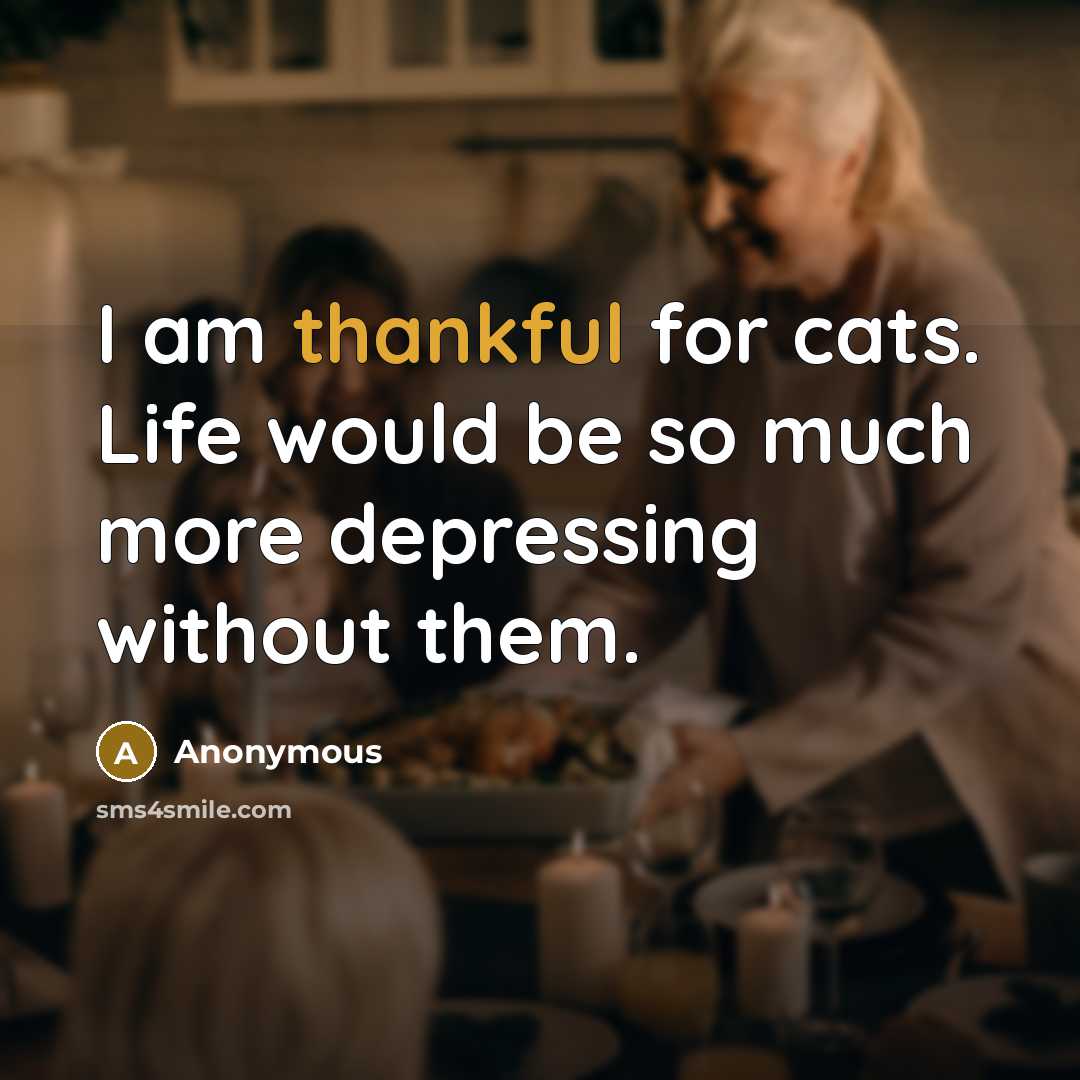 “I am thankful for cats. Life would be so much more depressing without them.” quote by Anonymous