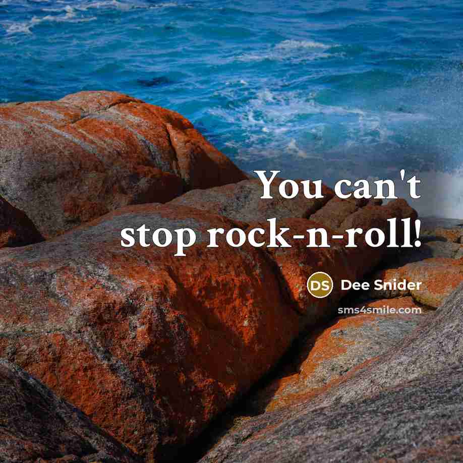 “You can't stop rock-n-roll!…” quote by Dee Snider