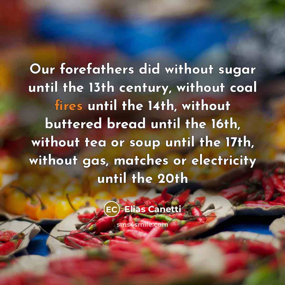 “Our forefathers did without sugar until the 13th century, without coal fires until the 14th, without buttered bread until the 16th, without tea or soup until the 17th, without gas, matches or electricity until the 20th” quote by Elias Canetti