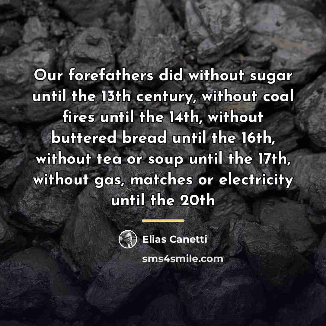 “Our forefathers did without sugar until the 13th century, without…” quote by Elias Canetti