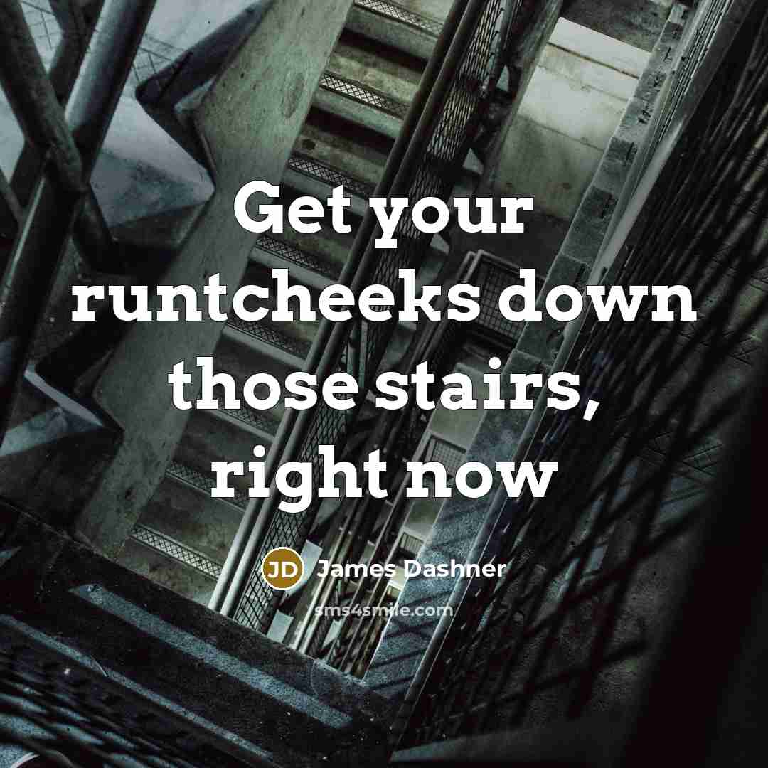 “Get your runtcheeks down those stairs, right now…” quote by James Dashner