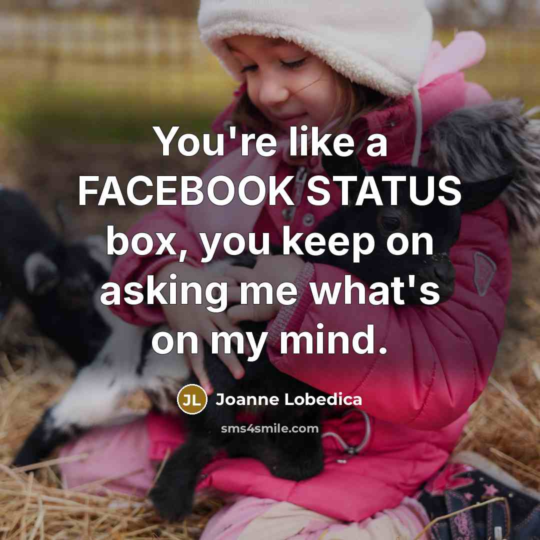 “You're like a FACEBOOK STATUS box, you keep on asking…” quote by Joanne Lobedica