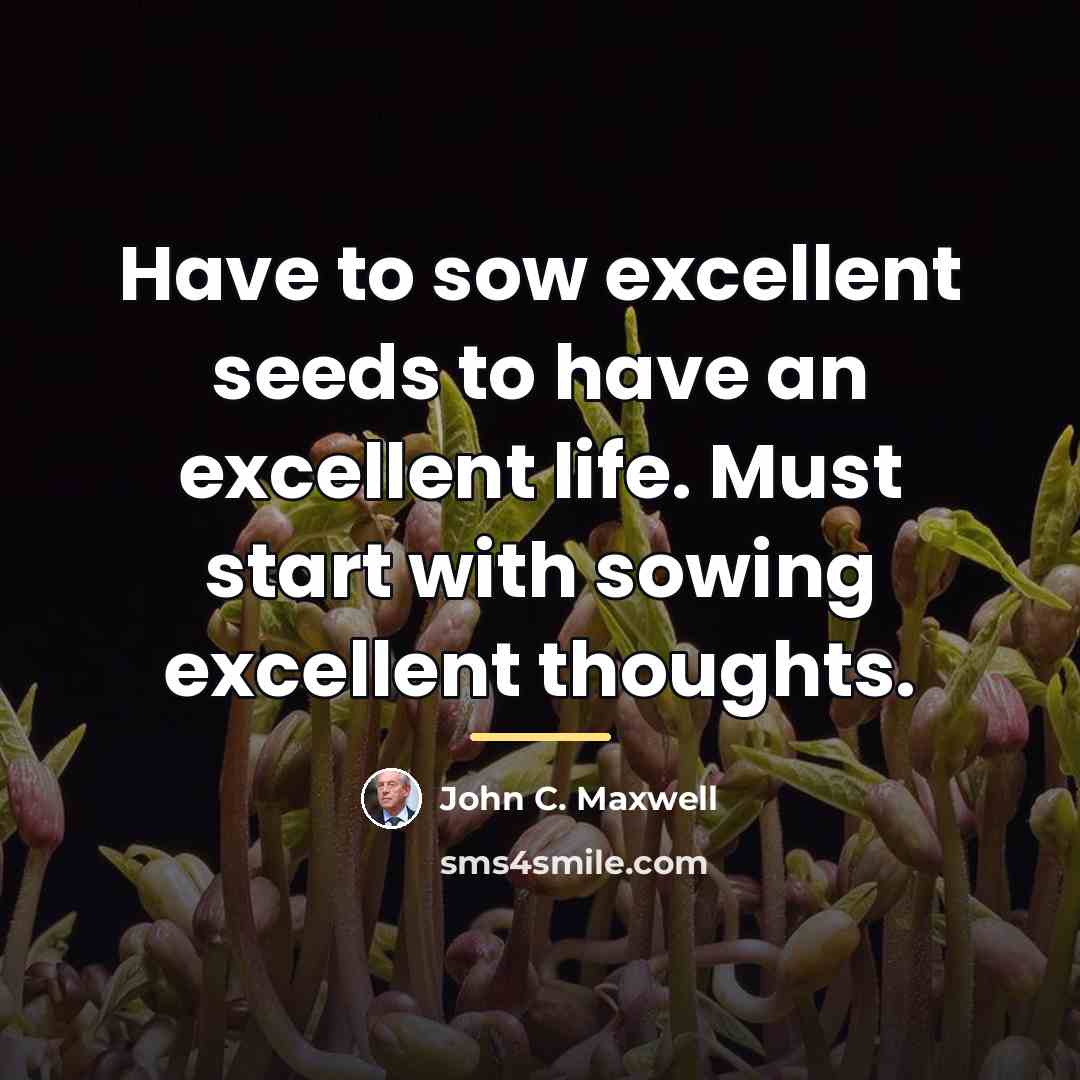 “Have to sow excellent seeds to have an excellent life.…” quote by John C. Maxwell