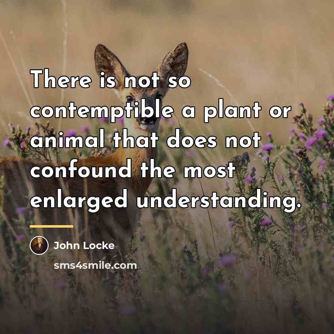 “There is not so contemptible a plant or animal that…” quote by John Locke