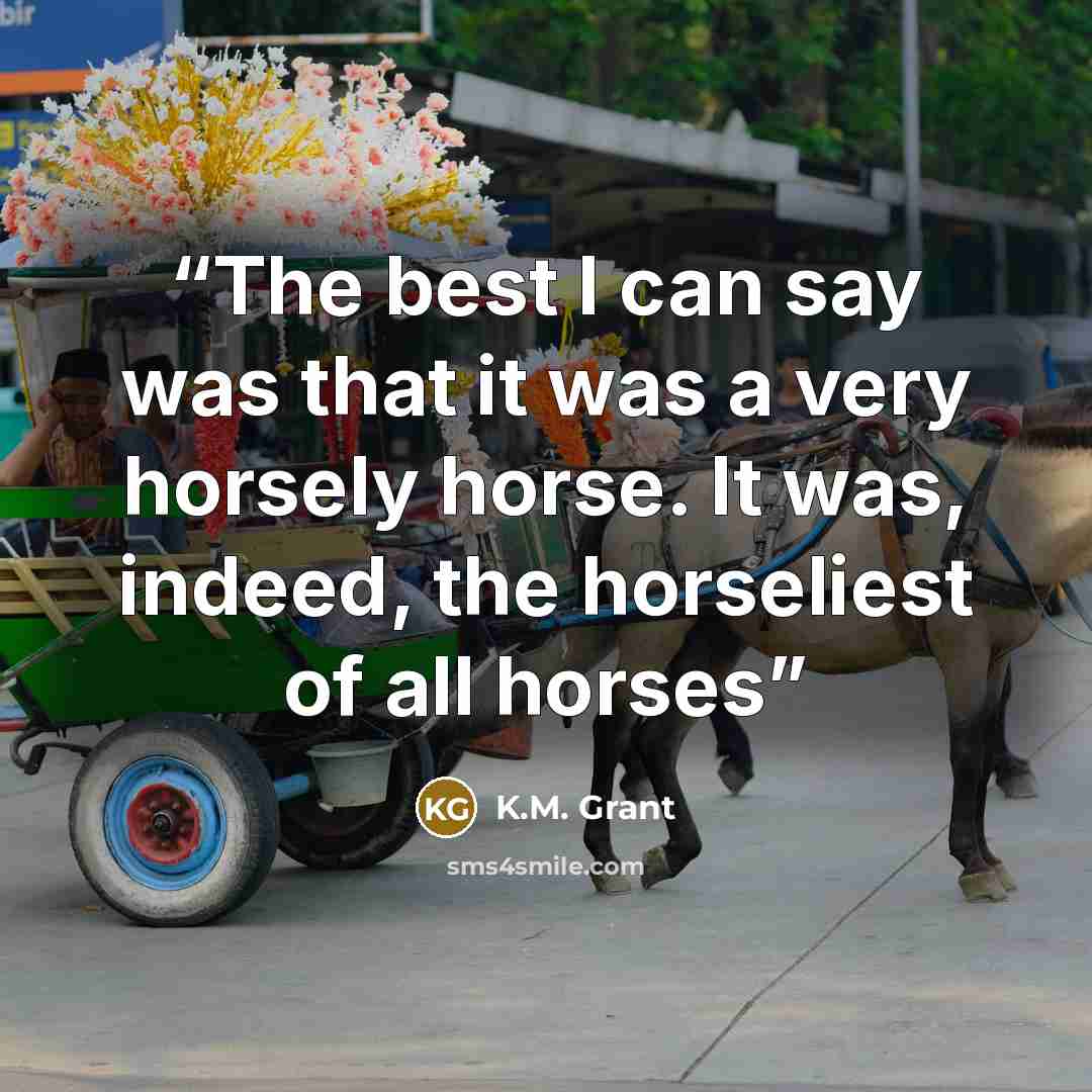 “The best I can say was that it was a very horsely horse. It was, indeed, the horseliest of all horses” quote by K.M. Grant