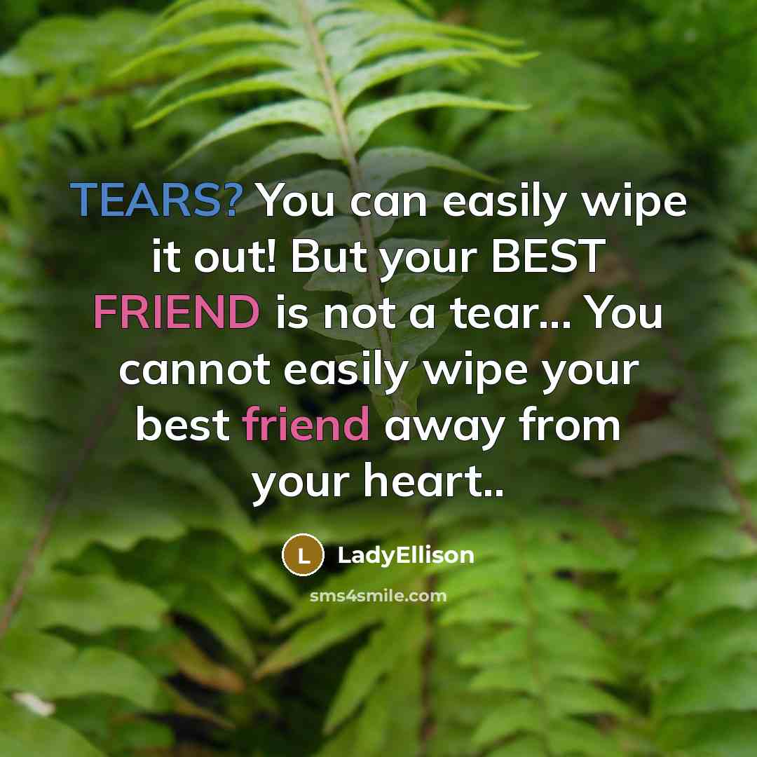 “TEARS? You can easily wipe it out! But your BEST…” quote by LadyEllison