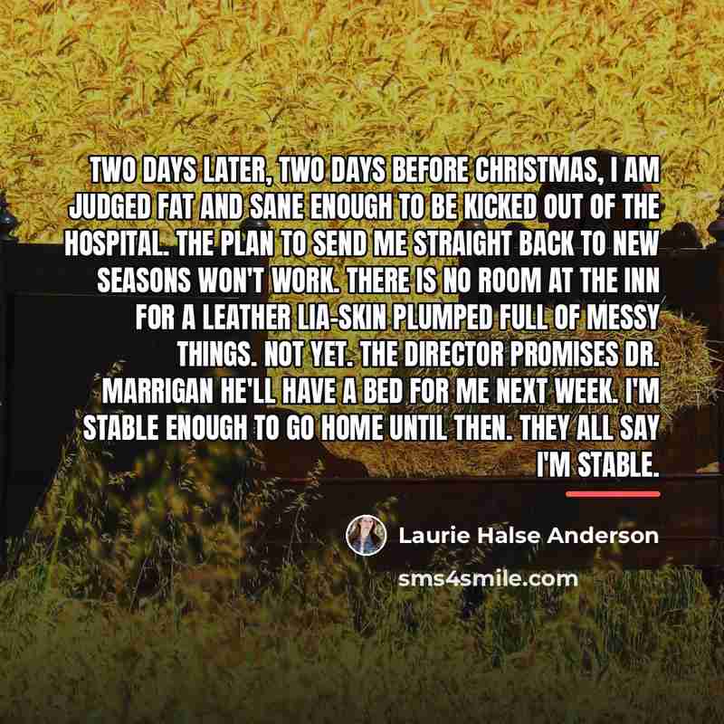 “Two days later, two days before Christmas, I am judged…” quote by Laurie Halse Anderson