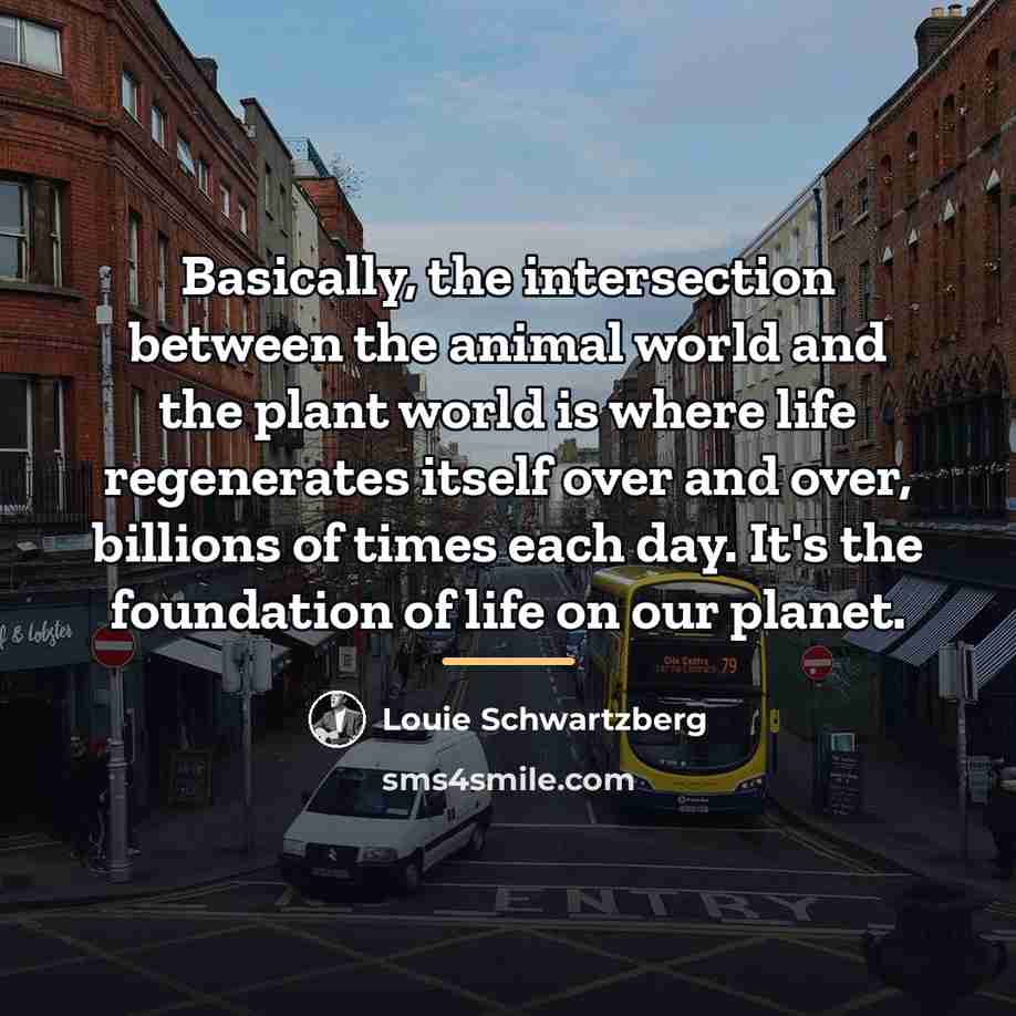 “Basically, the intersection between the animal world and the plant…” quote by Louie Schwartzberg