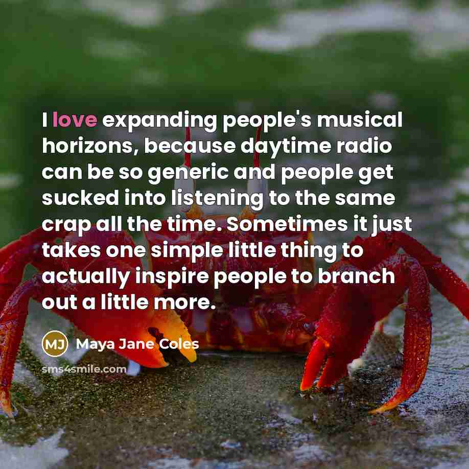 “I love expanding people's musical horizons, because daytime radio can…” quote by Maya Jane Coles