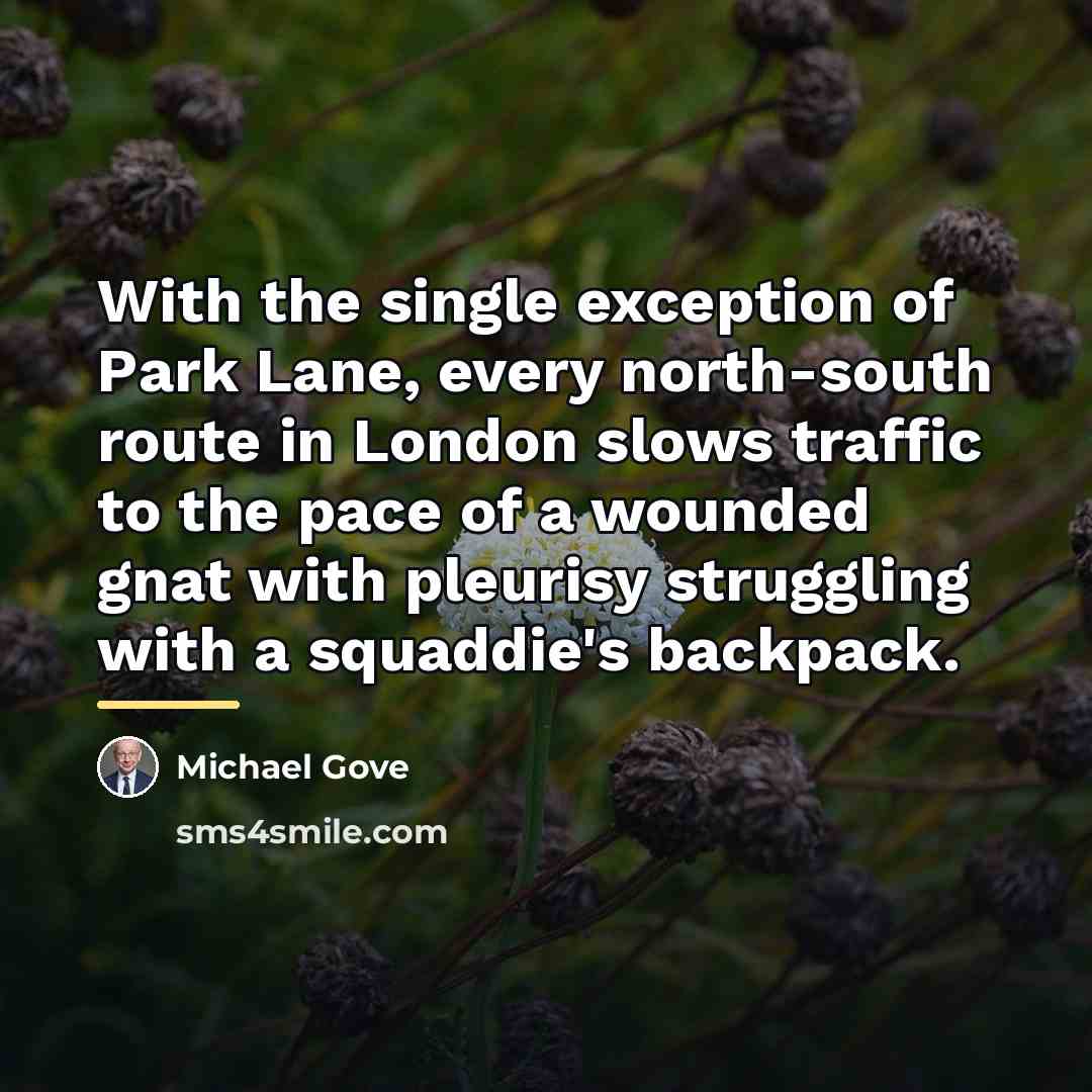 “With the single exception of Park Lane, every north-south route…” quote by Michael Gove