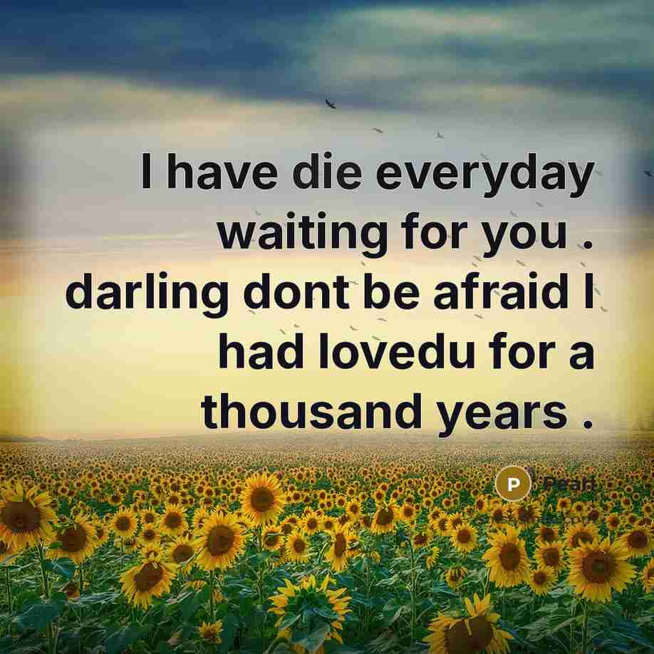 “I have die everyday waiting for you . darling dont…” quote by Pearl