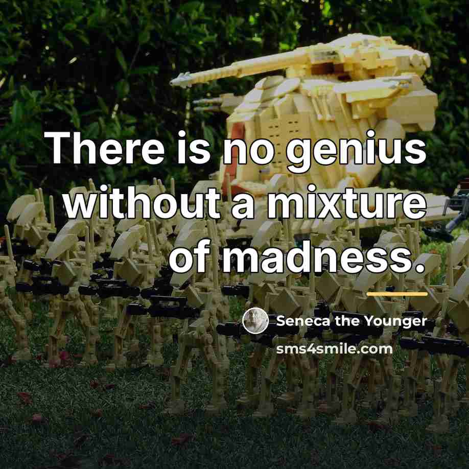“There is no genius without a mixture of madness.…” quote by Seneca the Younger