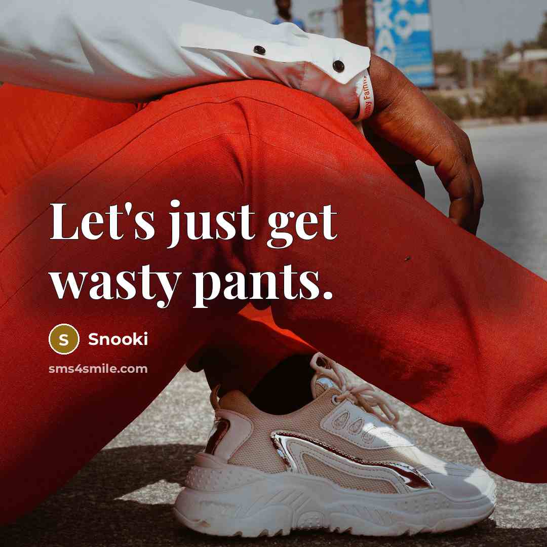 “Let's just get wasty pants.…” quote by Snooki