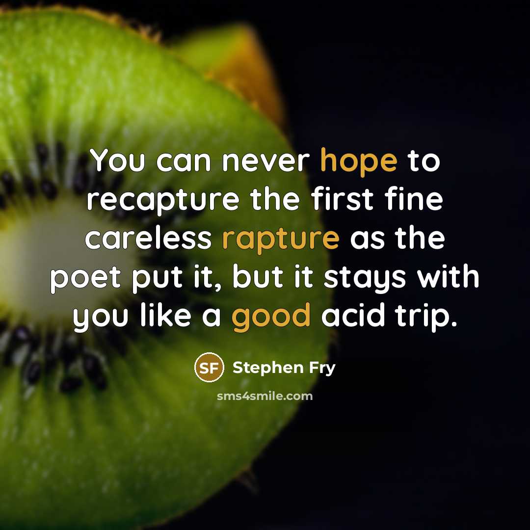“You can never hope to recapture the first fine careless…” quote by Stephen Fry