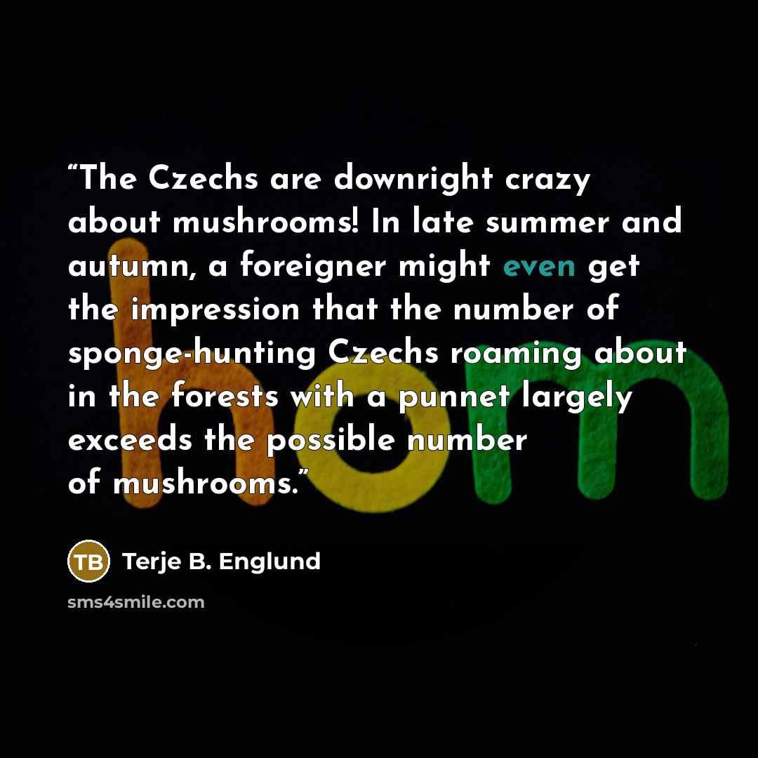 “The Czechs are downright crazy about mushrooms! In late summer and autumn, a foreigner might even get the impression that the number of sponge-hunting Czechs roaming about in the forests with a punnet largely exceeds the possible number of mushrooms.” quote by Terje B. Englund
