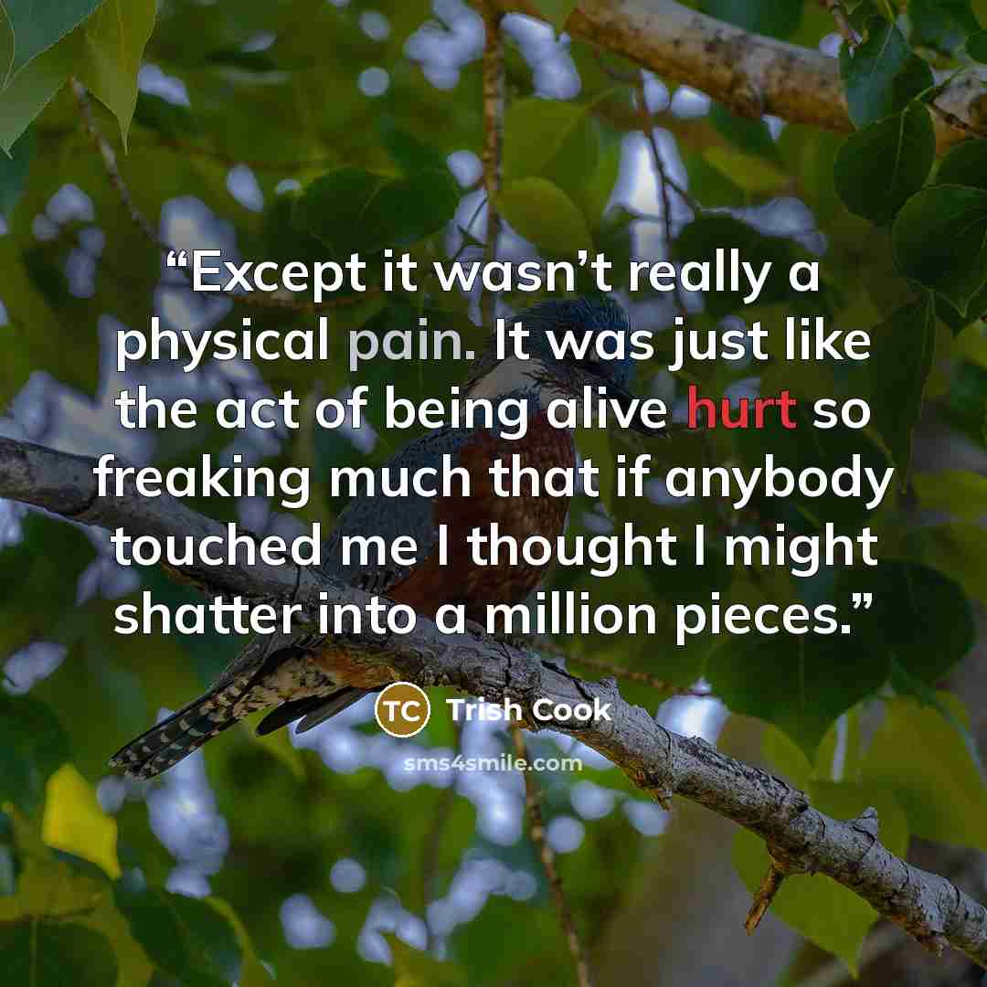 “Except it wasn’t really a physical pain. It was just like the act of being alive hurt so freaking much that if anybody touched me I thought I might shatter into a million pieces.” quote by Trish Cook