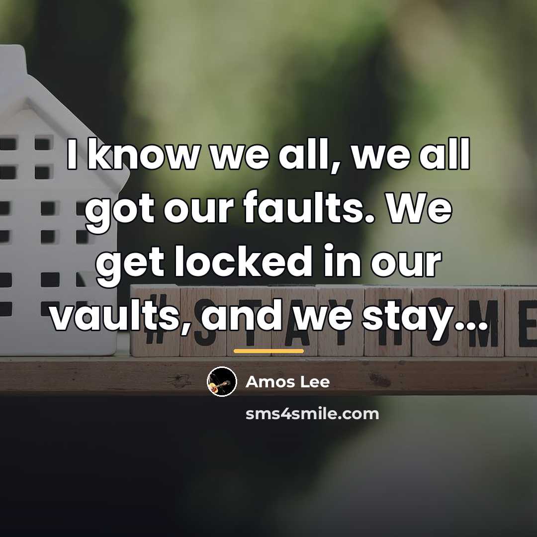 “I know we all, we all got our faults. We…” quote by Amos Lee