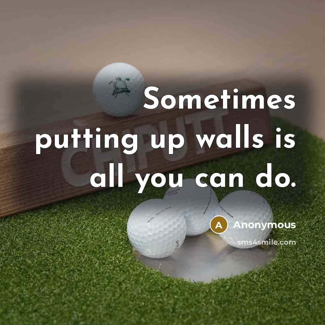 “Sometimes putting up walls is all you can do.” quote by Anonymous