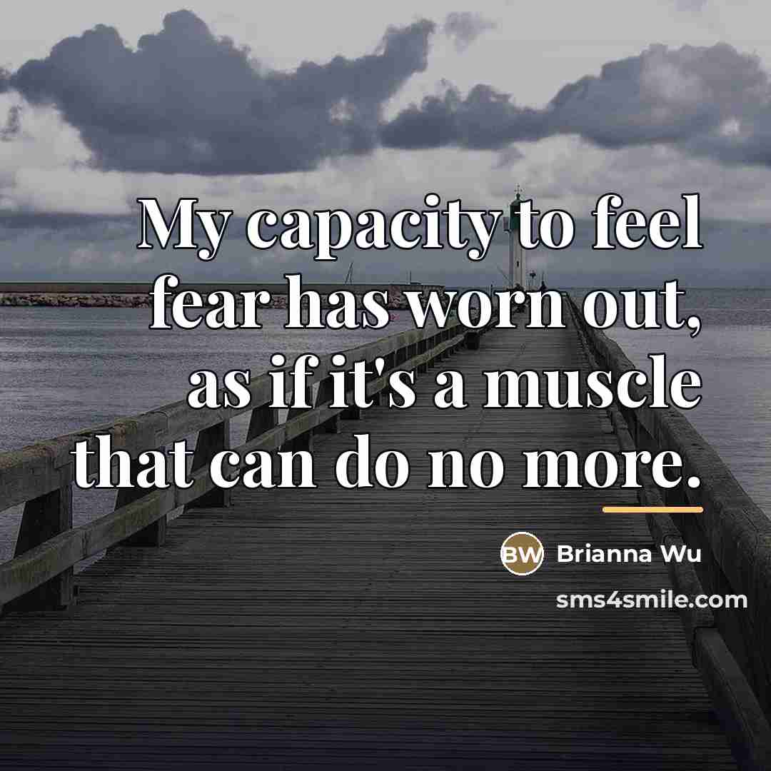 “My capacity to feel fear has worn out, as if…” quote by Brianna Wu