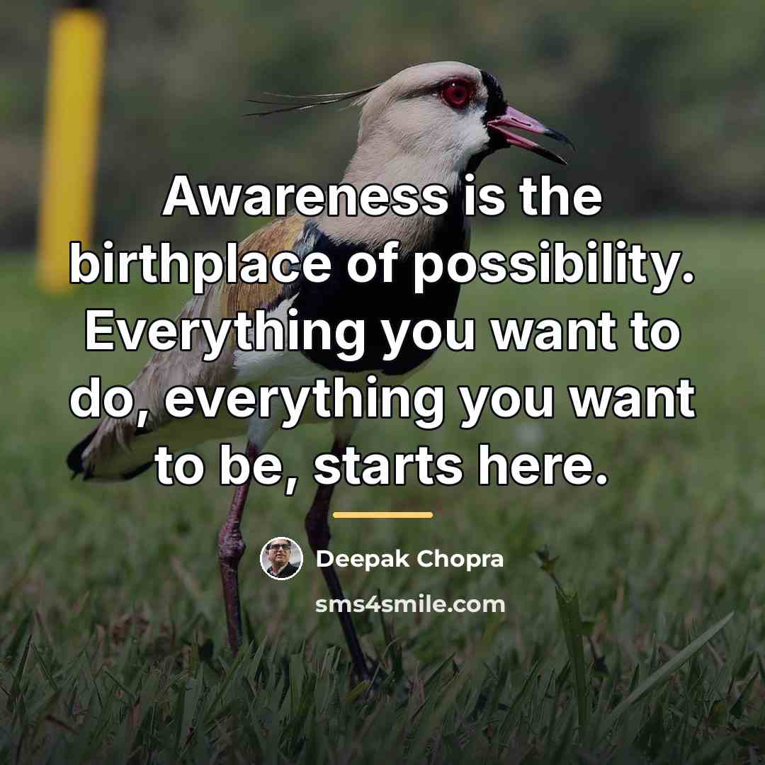 “Awareness is the birthplace of possibility. Everything you want to…” quote by Deepak Chopra