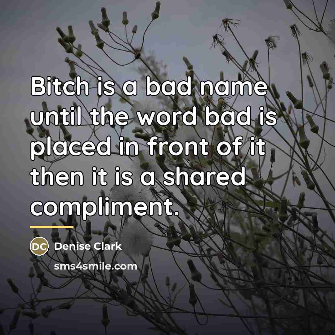 “Bitch is a bad name until the word bad is…” quote by Denise Clark